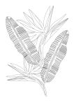 Alternative view 6 of Jungle Dreams Colouring Book: Jungle Animals