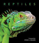 Alternative view 1 of Reptiles