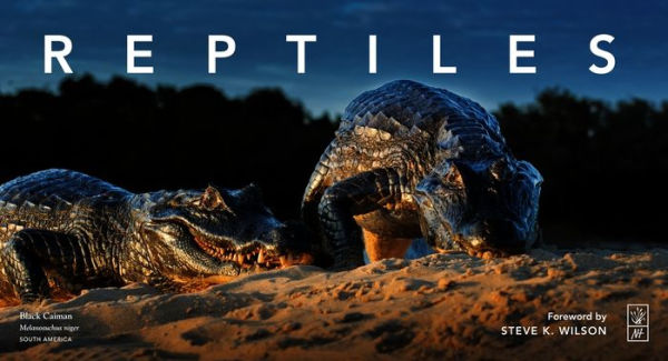 Reptiles