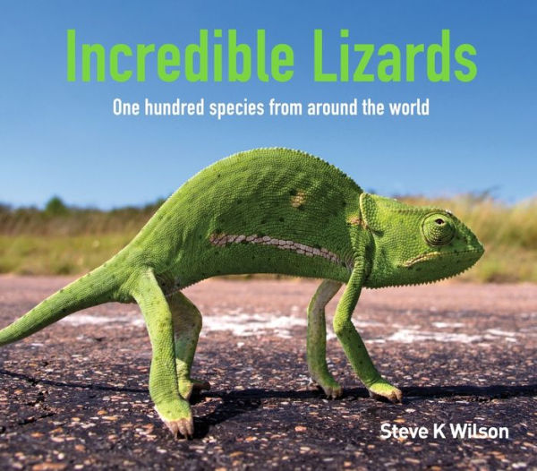 Incredible Lizards: One hundred species from around the world