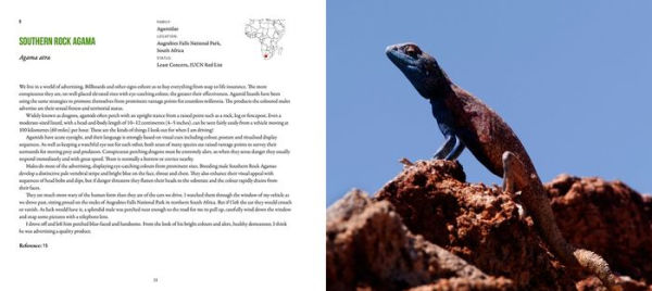 Incredible Lizards: One hundred species from around the world