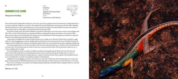 Incredible Lizards: One hundred species from around the world
