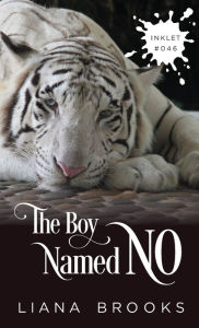 Title: The Boy Named No, Author: Liana Brooks
