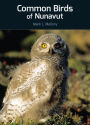 Common Birds of Nunavut
