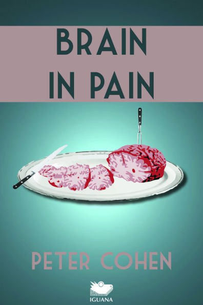 Brain in Pain: A Wounded Healer's Heart-Wrenching and Heart-Warming Guide to Schizophrenia