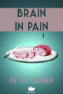 Brain in Pain: A Wounded Healer's Heart-Wrenching and Heart-Warming Guide to Schizophrenia