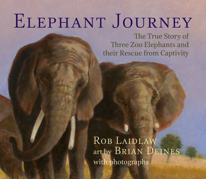Elephant Journey The True Story Of Three Zoo Elephants And Their