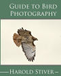 Guide to Photographing Birds