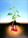 Tulip Farms and Leper Colonies