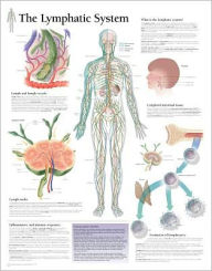 Title: The Lymphatic System chart: Wall Chart, Author: Scientific Publishing