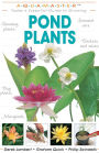 Pond Plants: Today's Essential Guide to Growing Pond Plants