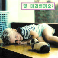 How Many? (Korean)