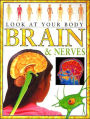 The Brain and Nerves