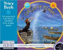 Tris's Book (Circle of Magic Series #2)