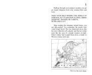 Alternative view 5 of The Lost Jewels of Nabooti (Choose Your Own Adventure #4)