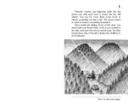 Alternative view 2 of Secret of the Ninja (Choose Your Own Adventure #16)