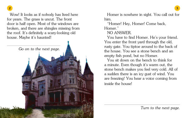 The Haunted House (Choose Your Own Adventure: A Dragonlark Book)