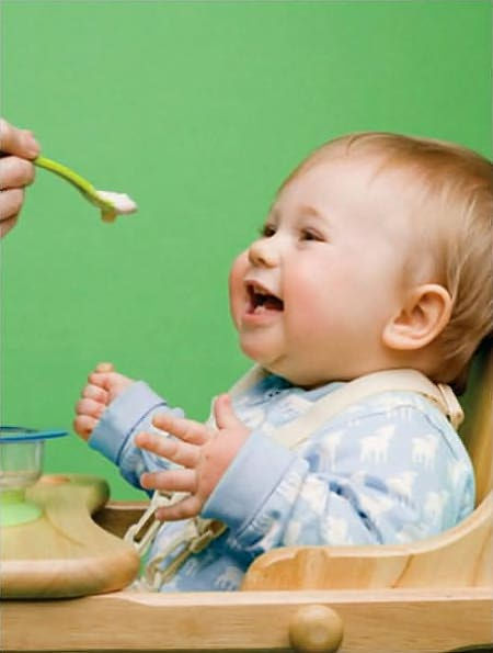 The Baby Bistro: Child-Approved Recipes and Expert Nutrition Advice for the First Year