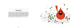 Alternative view 7 of Charles Harper's Birds & Words: W Flamingo Print