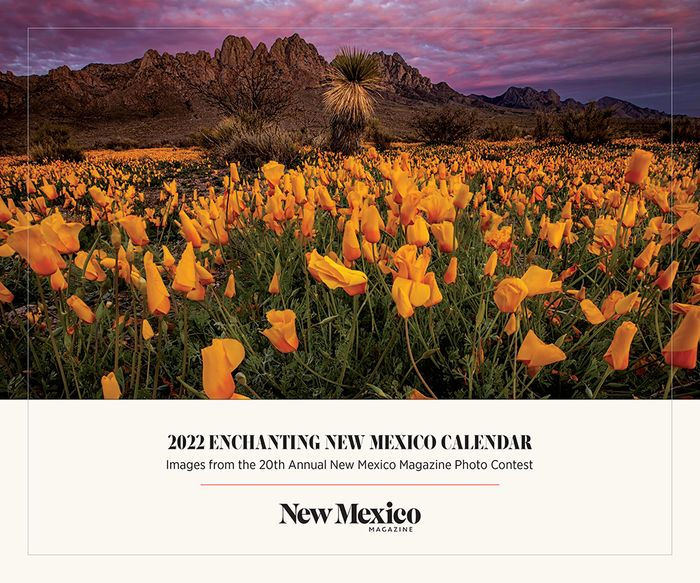 2022 Enchanting New Mexico Calendar Images from the 20th Annual New