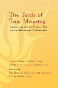 Title: Torch of True Meaning: Instructions and the Practice for the Mahamudra Preliminaries, Author: Jamgon Kongtrul Lodro Thaye