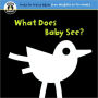 What Does Baby See? (Begin Smart Series)