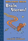 Benjamin Bear in Brain Storms!: TOON Level 2
