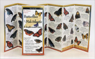 Title: Common Butterflies of the Mid-Atlantic, Author: Steve Lewers