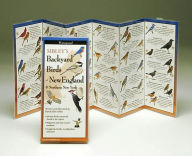 Title: Sibley's Backyard Birds of Northeast, Author: David Allen Sibley