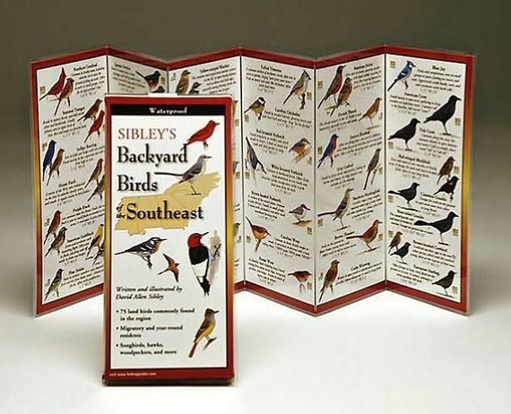 Sibley's Backyard Birds of Southeast