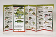 Title: Freshwater Fishes of Texas, Author: Ellen Edmonson