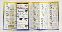Sibley's Warblers of Eastern North America