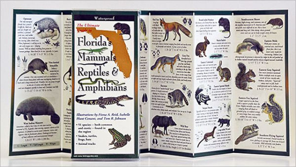 Florida's Mammals, Reptiles, and Amphibians