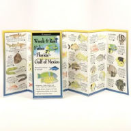 Title: Wreck & Reef Fishes of Florida & Gulf of Mexico, Author: Val Kells