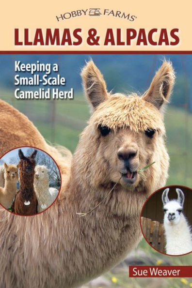 Llamas and Alpacas: Small-scale Herding for Pleasure and Profit
