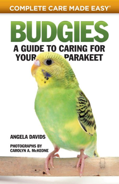 Budgies: A Guide to Caring for Your Parakeet