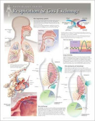 Respiration & Gas Exchange Wall Chart: 8130