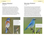 Alternative view 10 of American Birding Association Field Guide to Birds of Washington