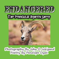 Title: Endangered--The Peninsular Bighorn Sheep, Author: Penelope Dyan