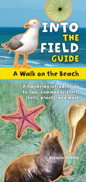 A Walk on the Beach: Into the Field Guide (Treasure Box)