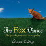 The Fox Diaries: The Year the Foxes Came to Our Garden