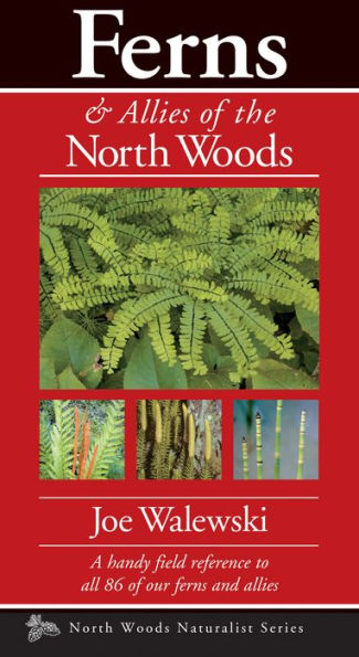 Ferns & Allies of the North Woods: A Handy Field Reference to All 86 of Our Ferns and Allies