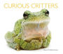 Curious Critters