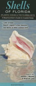 Shells of Florida/Atlantic Ocean and Florida Keys: A Beach Comber's Guide to Coastal Areas