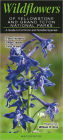 Wildflowers of Yellowstone and Grand Teton National Parks: A Guide to Common and Notable Species