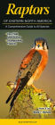 Raptors of Eastern North America: A Guide to Common and Notable Species