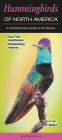Hummingbirds of North America: A Guide to Common and Notable Species