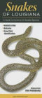 Snakes of Louisiana: A Guide to Common and Notable Species