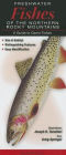 Freshwater Fishes of the Northern Rocky Mountains: A Guide to Game Fishes