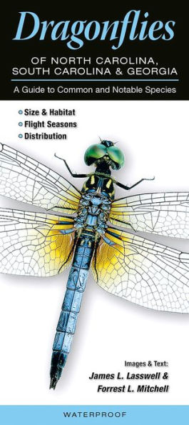 Dragonflies of North Carolina, South Carolina and Georgia: A Guide to Common & Notable Species